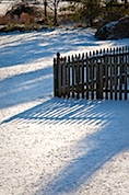 Snow by Fence