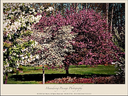 Spring at Sloan Park