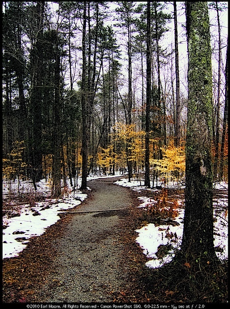 Another Winters Path