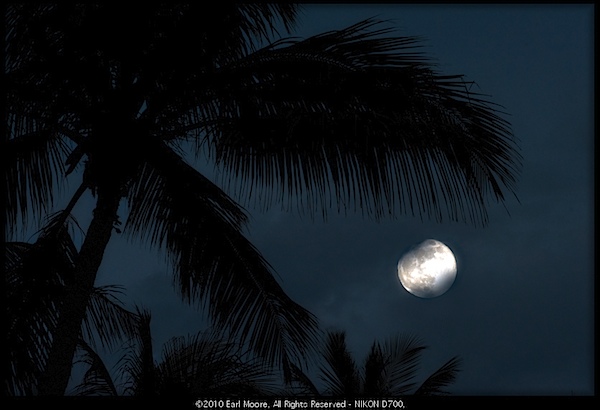Moon over Marco Island, FL