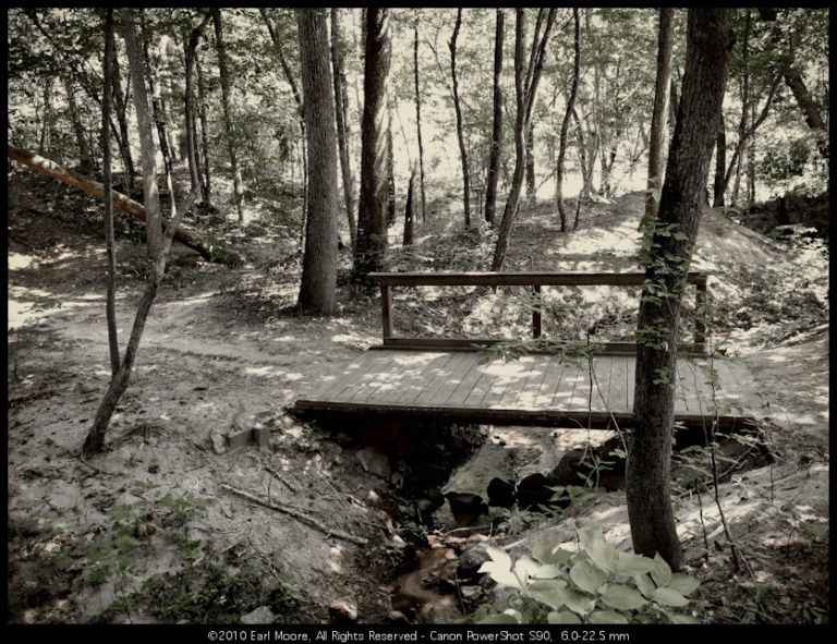 Bridge in the forest