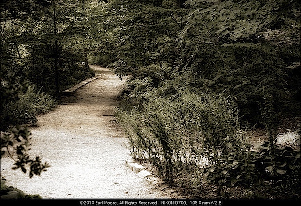 The long trail, Hurley Park, Salisbury, NC