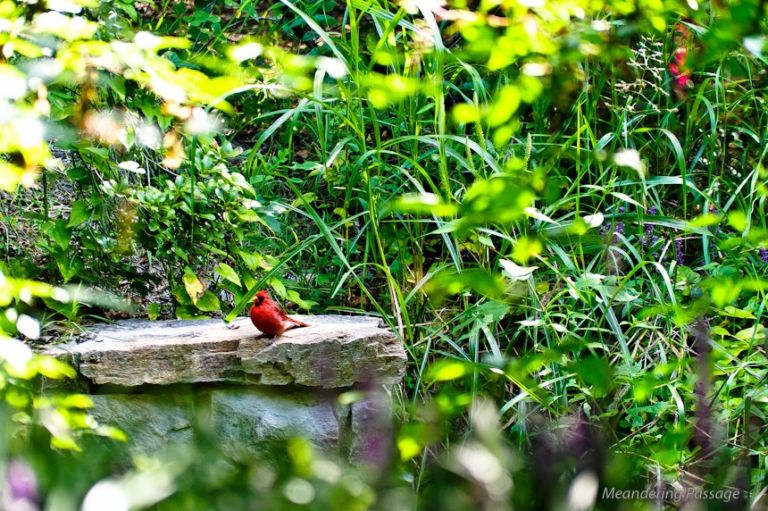 Upon a bench of stone