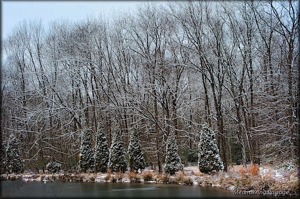 Fresh snow at ponds edge