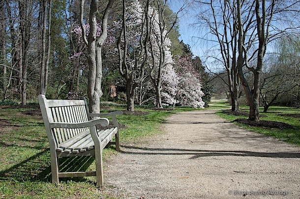 Spring Path
