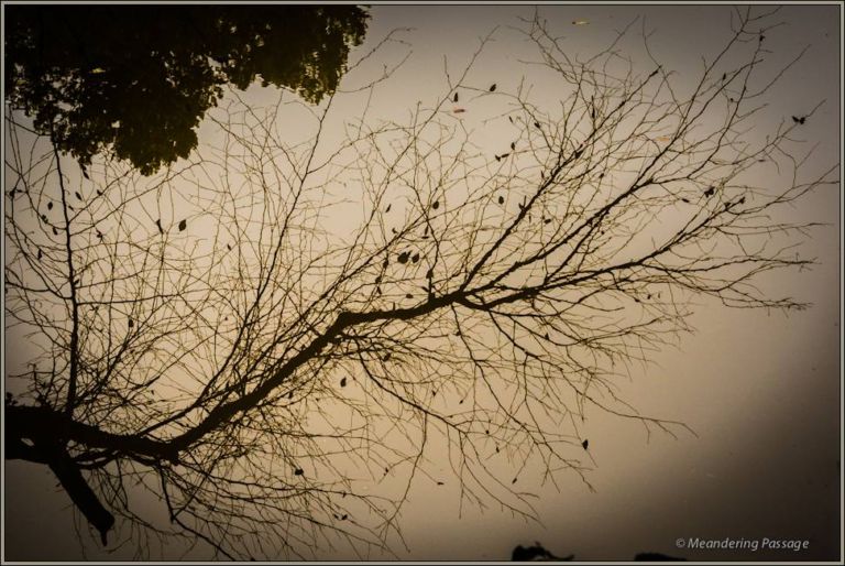 Reflections upon the river - Earl Moore Photography