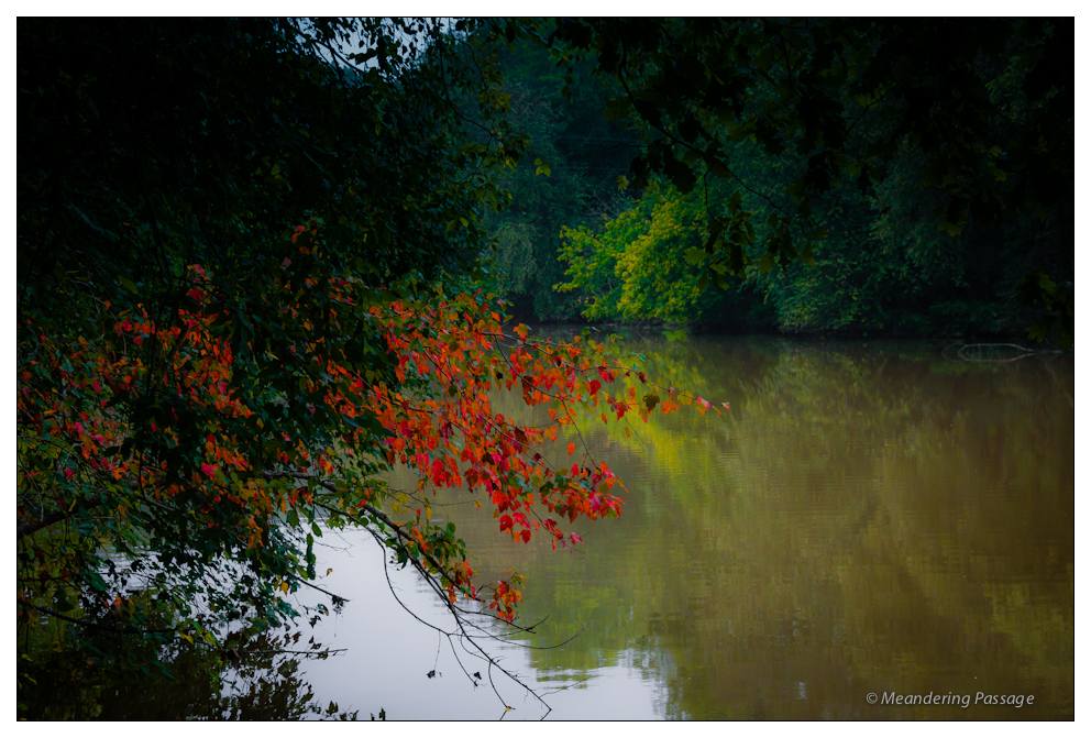 Autumn colors along the river bank - Earl Moore Photography