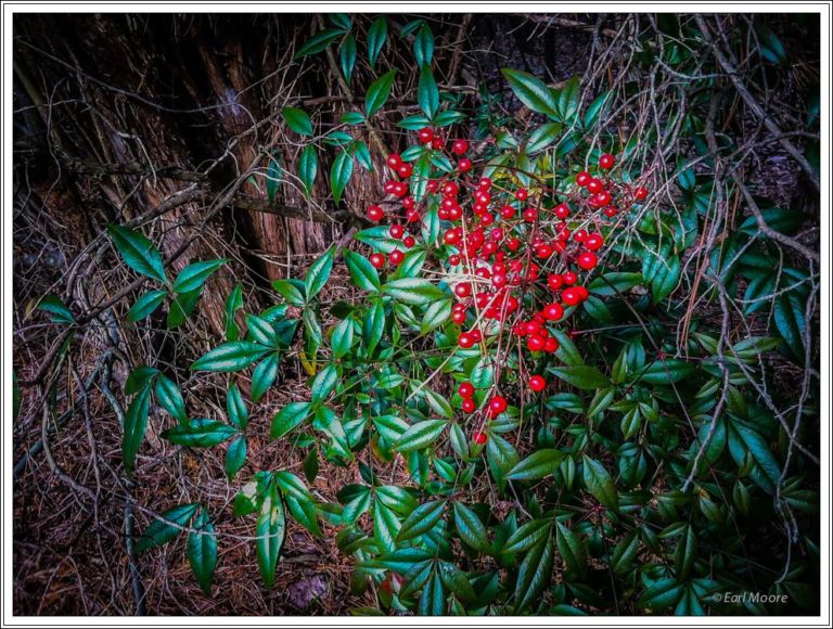 ©Meandering Passage - Earl Moore Photography