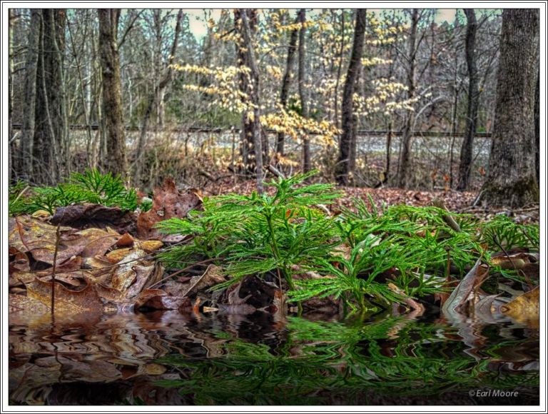 ©Meandering Passage - Earl Moore Photography