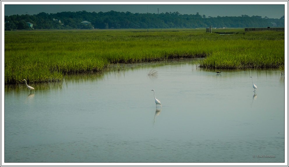 ©Meandering Passage - Earl Moore Photography - Wetlands - Huntington Beach State Park, SC