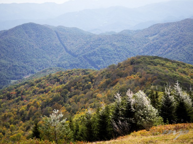 Ice on upper nearby trees and fall colors starting to show. View from top of Big Bald Mountain, North Carolina. 