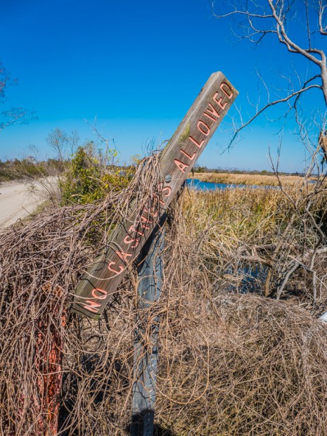 Sign, Butler Island Plantation, Darien, Georgia