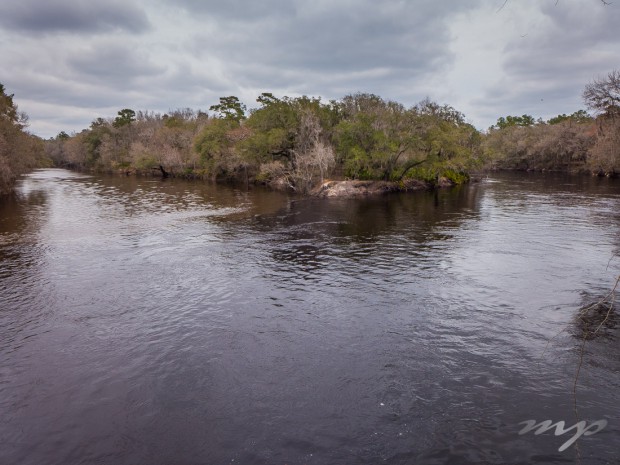 A high bluff overlooks the spot where the Withlacoochee River joins the Suwannee River on its way to the Gulf of Mexico. Suwannee River State Park, Florida.