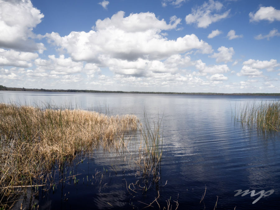 Ocean Pond, Florida