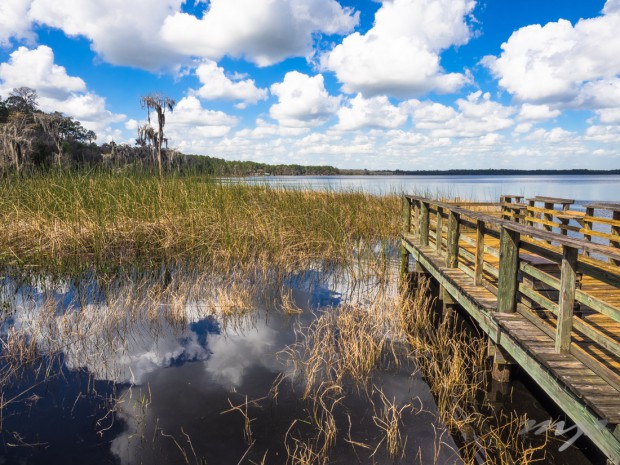 Fishing dock and pond, Ocean Pond, Olustee, Florida