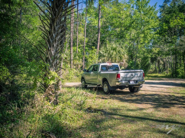 Drive as far as you can and then walk even further. Nature trails in the Lower Suwannee National Wildlife Refuge, Florida.