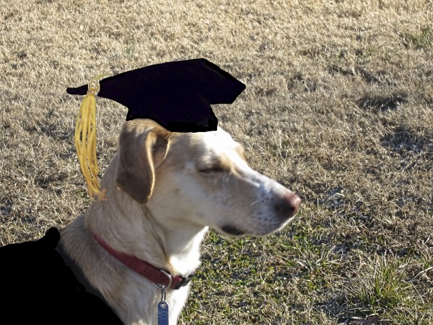 Maggie insisted upon a formal graduation...