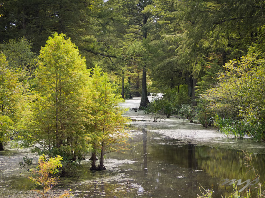 Exploring surrounding Arkansas