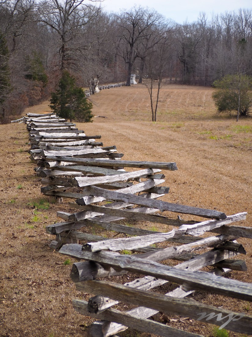 Along the sunken road, Shiloh National Military Park Battlefield in western Tennessee