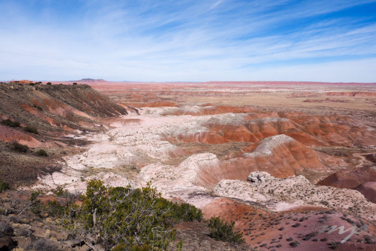 Painted Desert and Petrified Forest National Park, AZ