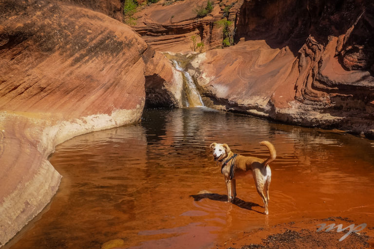 Maggie: Utah