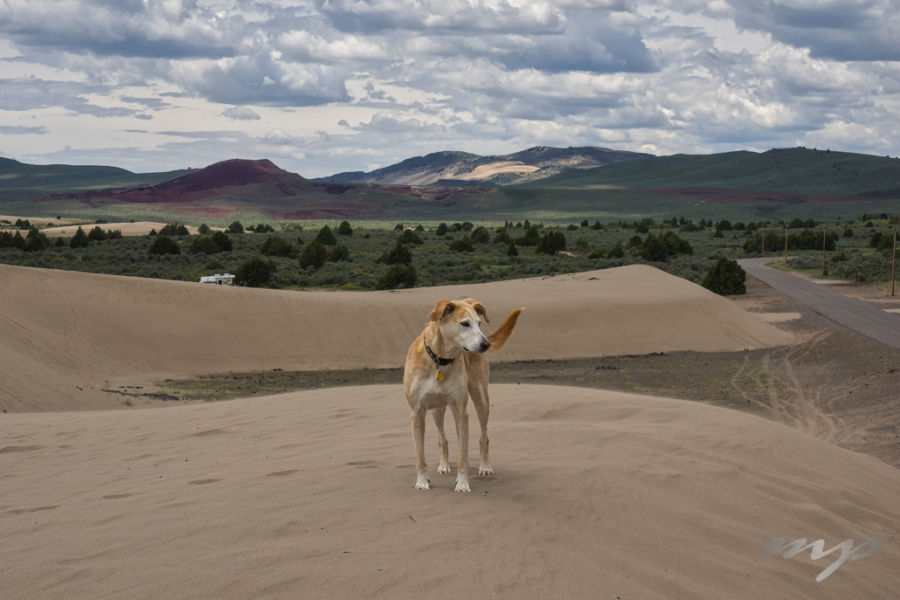 St. Anthony Sand Dunes, Idaho