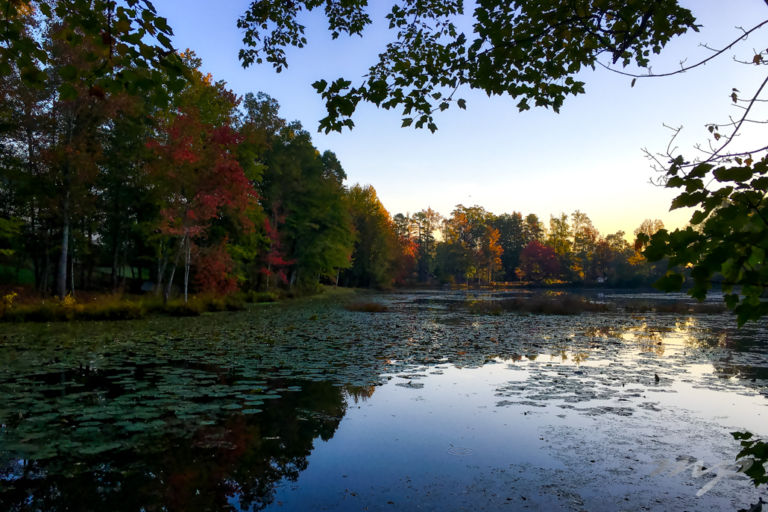 Enjoying autumn in the Carolinas