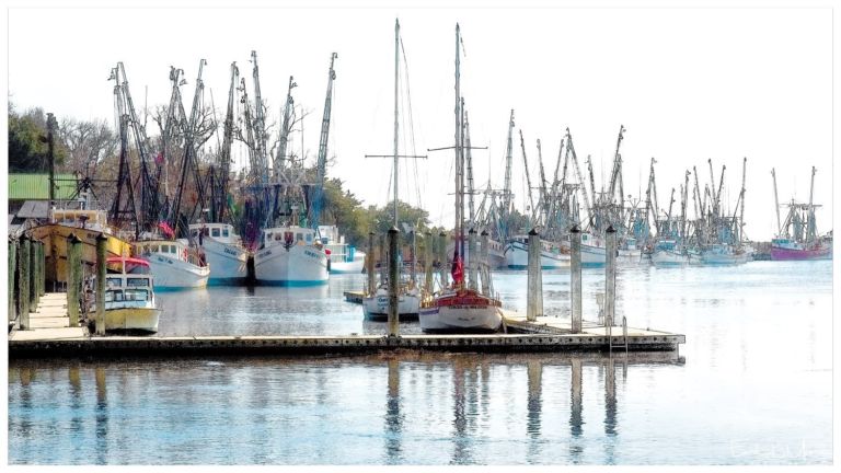 "Times-A-Wastin" - Fishing Fleet - Darian, GA - Feb 2015