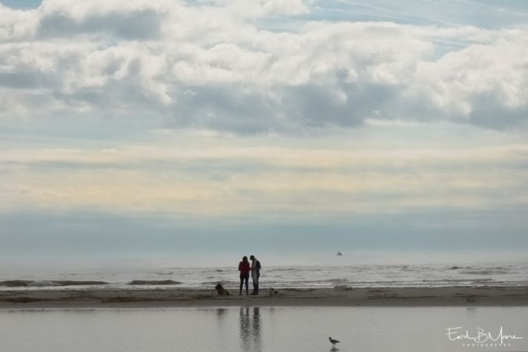 Early Morning Beach Rendezvous, with Dogs - Saint Simon's Beach, GA