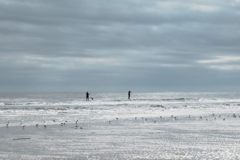 Paddle Boarders, St Simons Island, GA