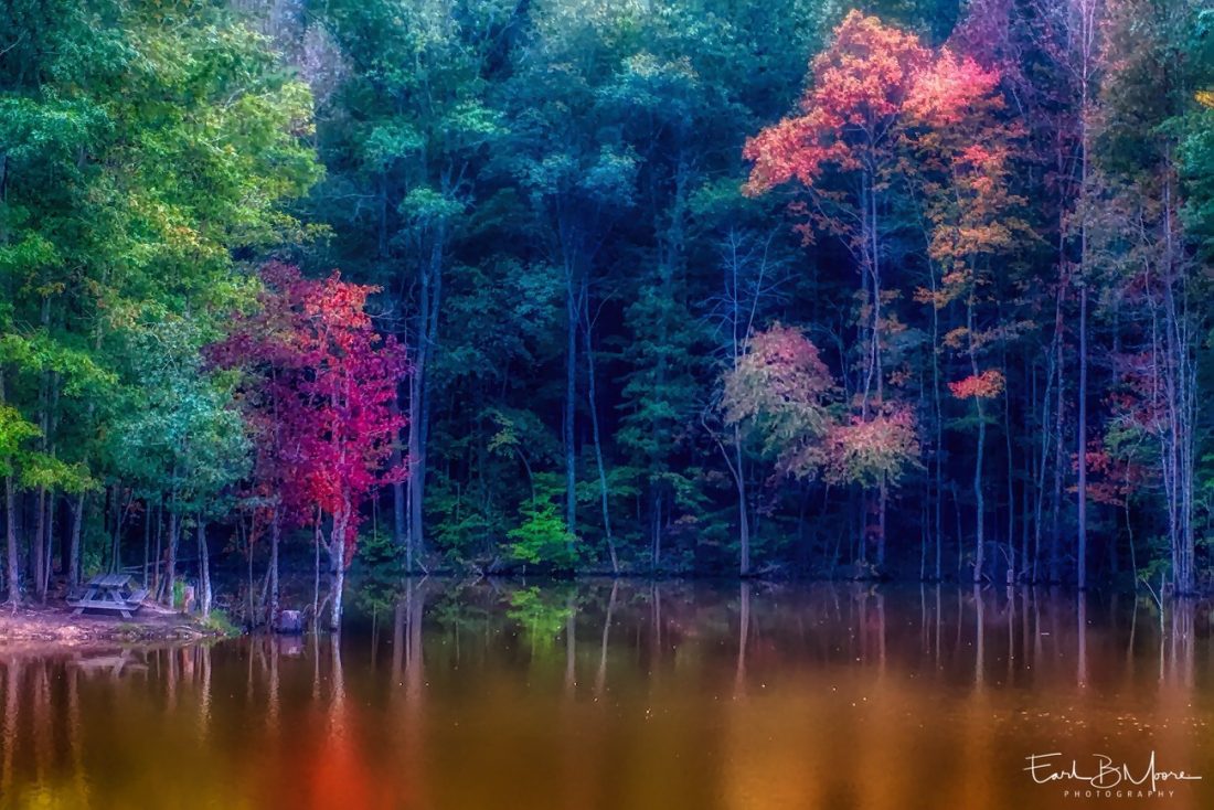 A soft misty early morning on an Autumn Pond, NC. 