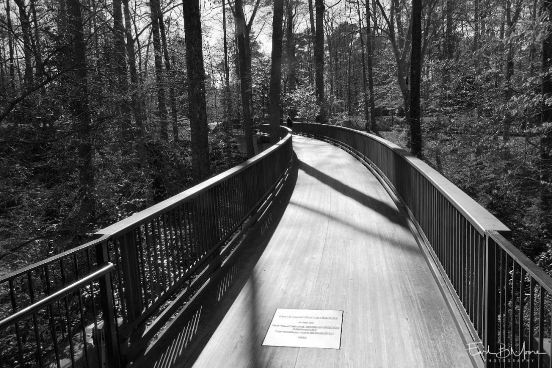 Footbridge to the Swan House at the Atlanta History Center, Atlanta, GA.