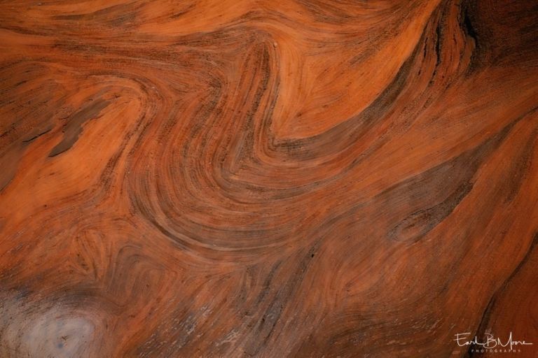 Rock Face, Red Cliffs Recreation Area, Utah.