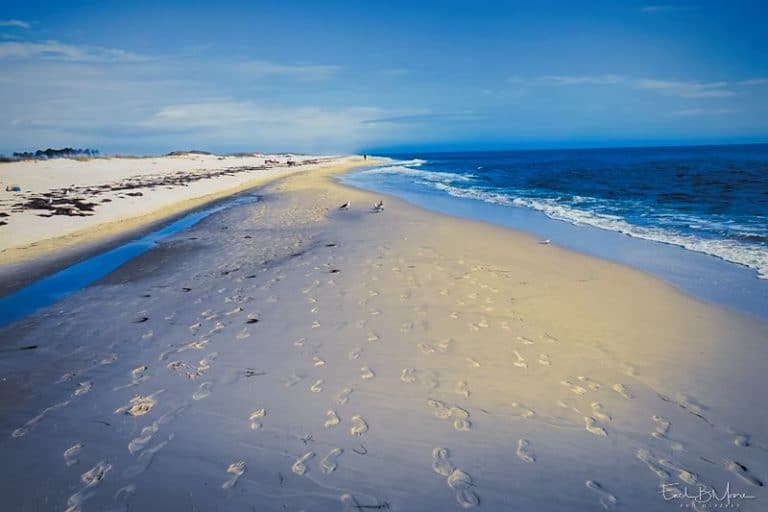 Dr. Julian G. Bruce St. George Island, State Park, Florida