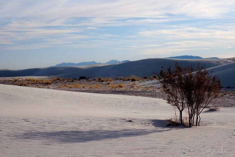 Gypsum Sandscapes