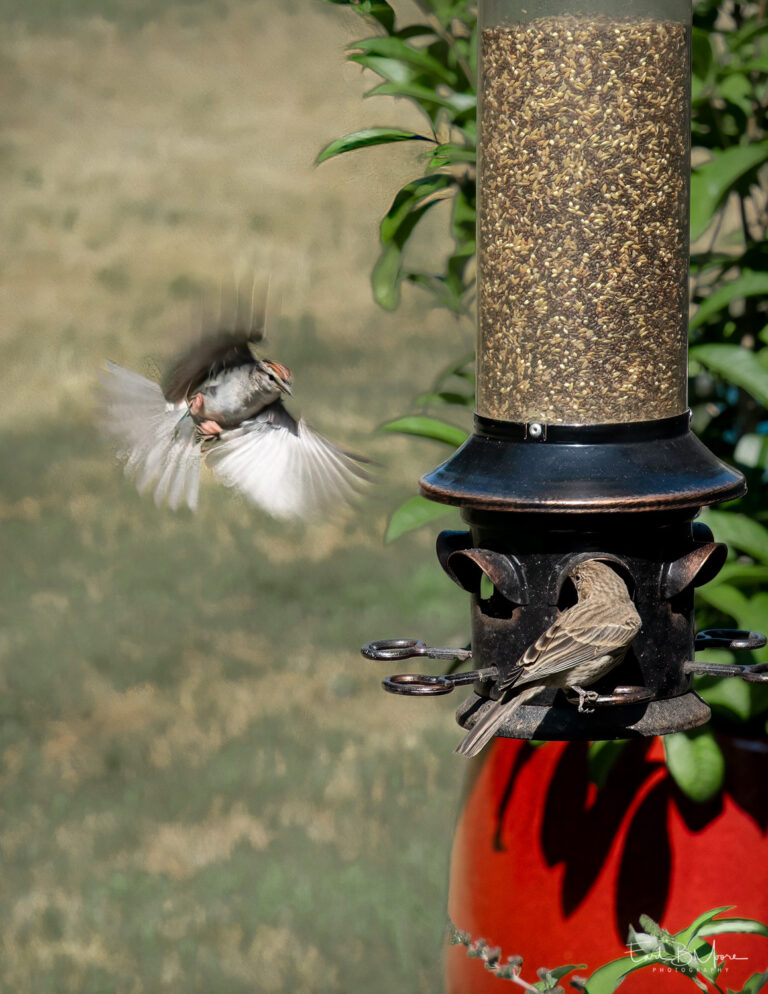 On Final Approach