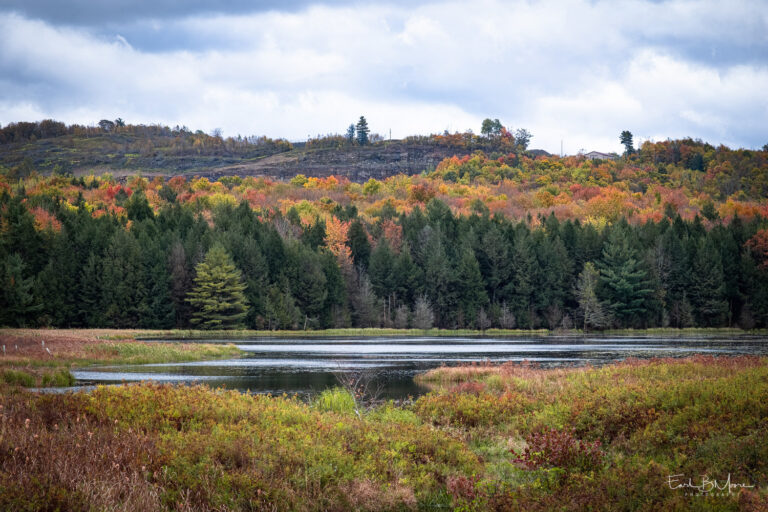 Fall Colors 2024 – Northern Pennsylvania