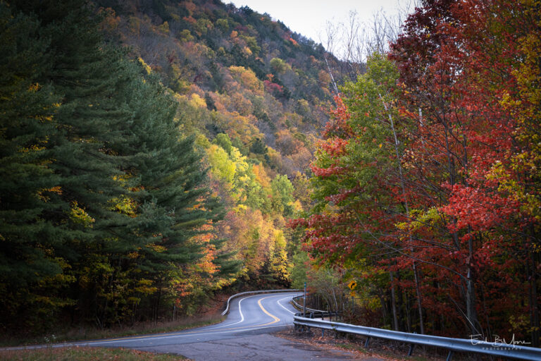 Fall Colors 2024 – Southeastern New York State