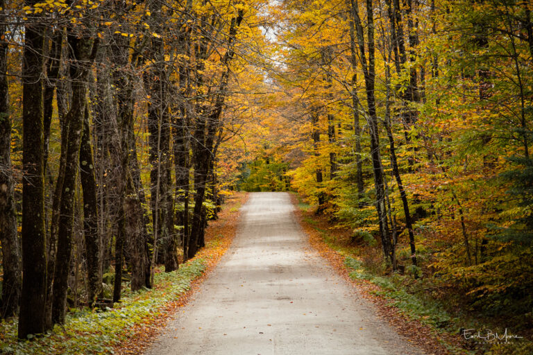 Fall Colors 2024 – Vermont (2)