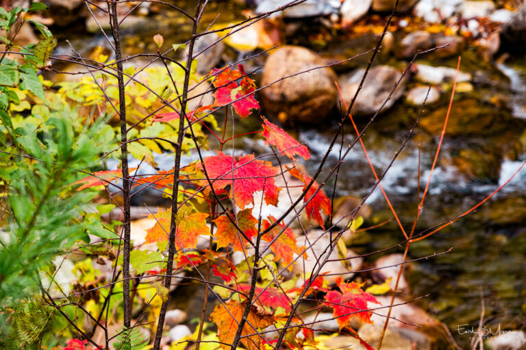 Fall Colors 2024 – Vermont (3)