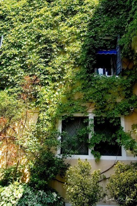 EBM-20120707120745-1