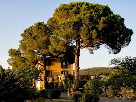 EBM-20120710201350-2