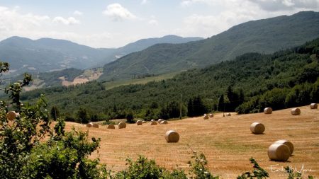 EBM-20120714114635-2