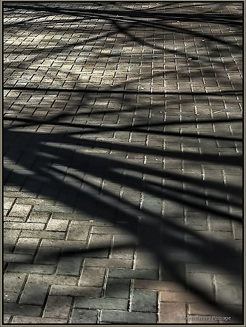 Sidewalk Shadows – Meandering Passage